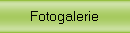 Fotogalerie