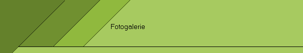 Fotogalerie