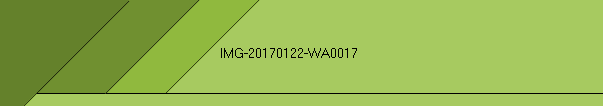 IMG-20170122-WA0017
