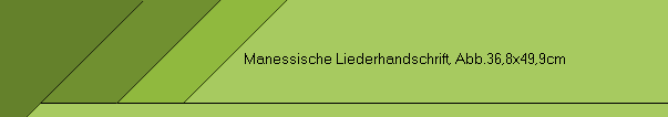 Manessische Liederhandschrift, Abb.36,8x49,9cm